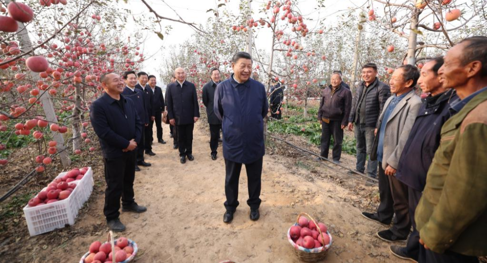 Xi Jinping souligne l'importance de faire progresser la revitalisation rurale durant ses inspections au Shaanxi et au Henan