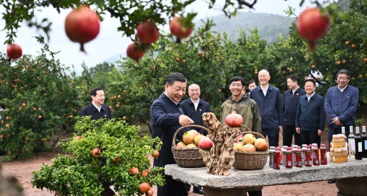 Xi Jinping appelle le Zhejiang à écrire un nouveau chapitre de la promotion de la modernisation chinoise