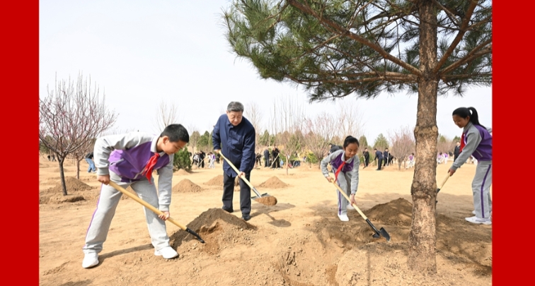 Xi Jinping appelle à mobiliser l'ensemble de la société autour des initiatives de reboisement
