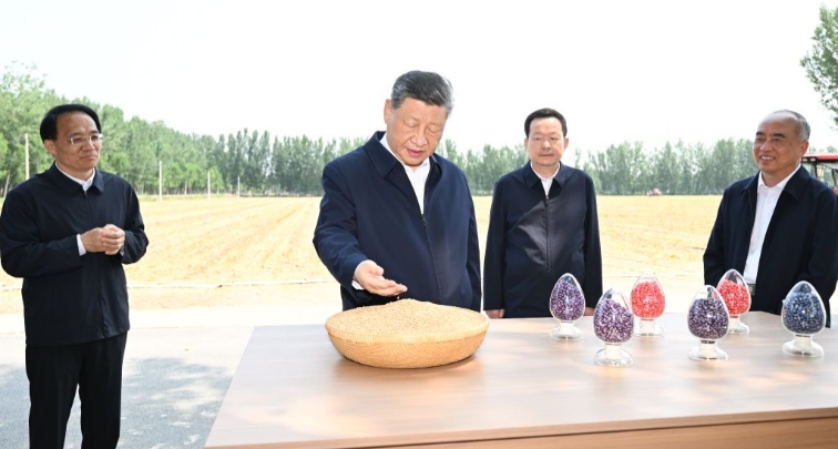 Xi Jinping appelle à des mesures solides pour moderniser l'agriculture et les zones rurales
